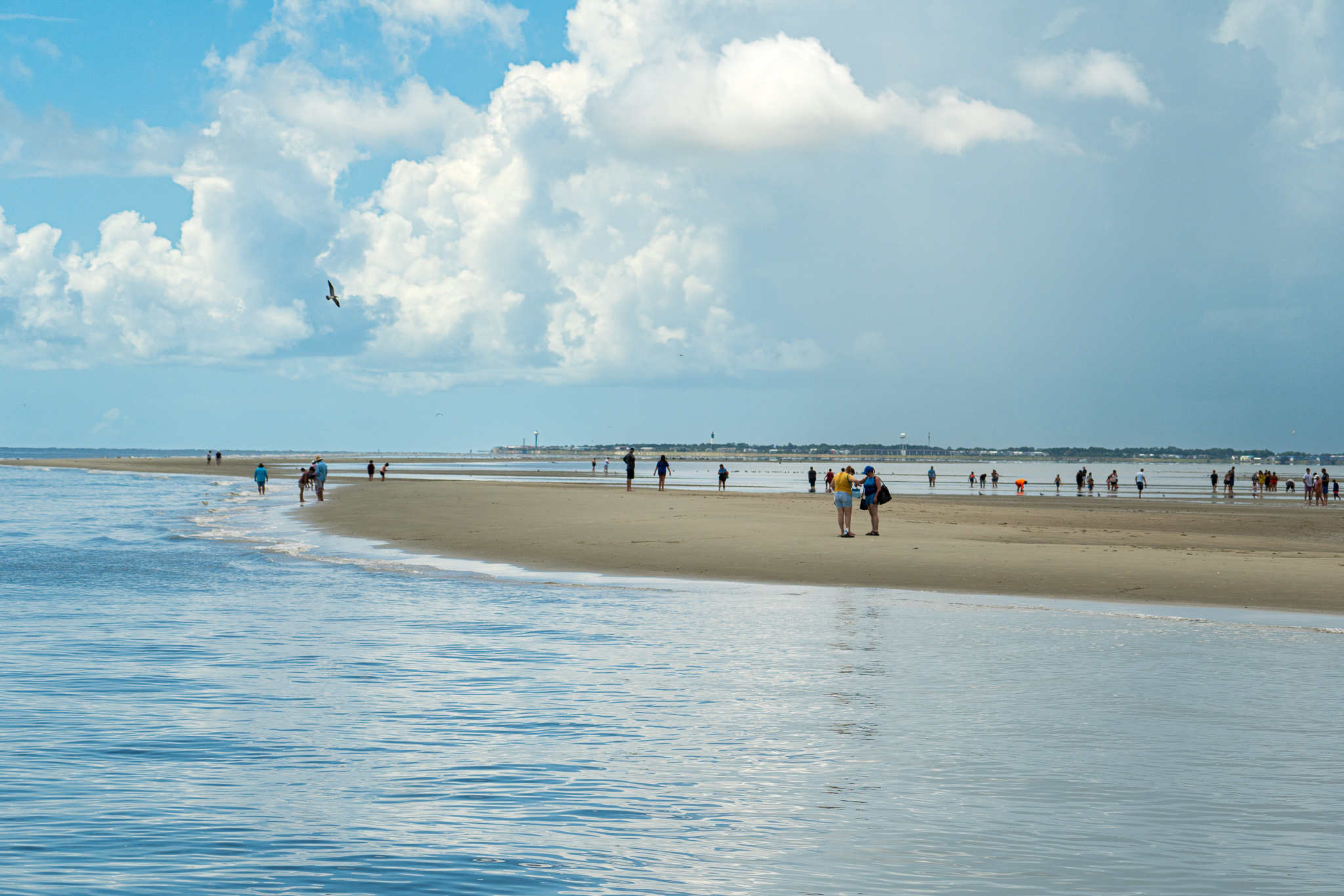 Outside Hilton Head Excursions | Hilton Head National RV Resort